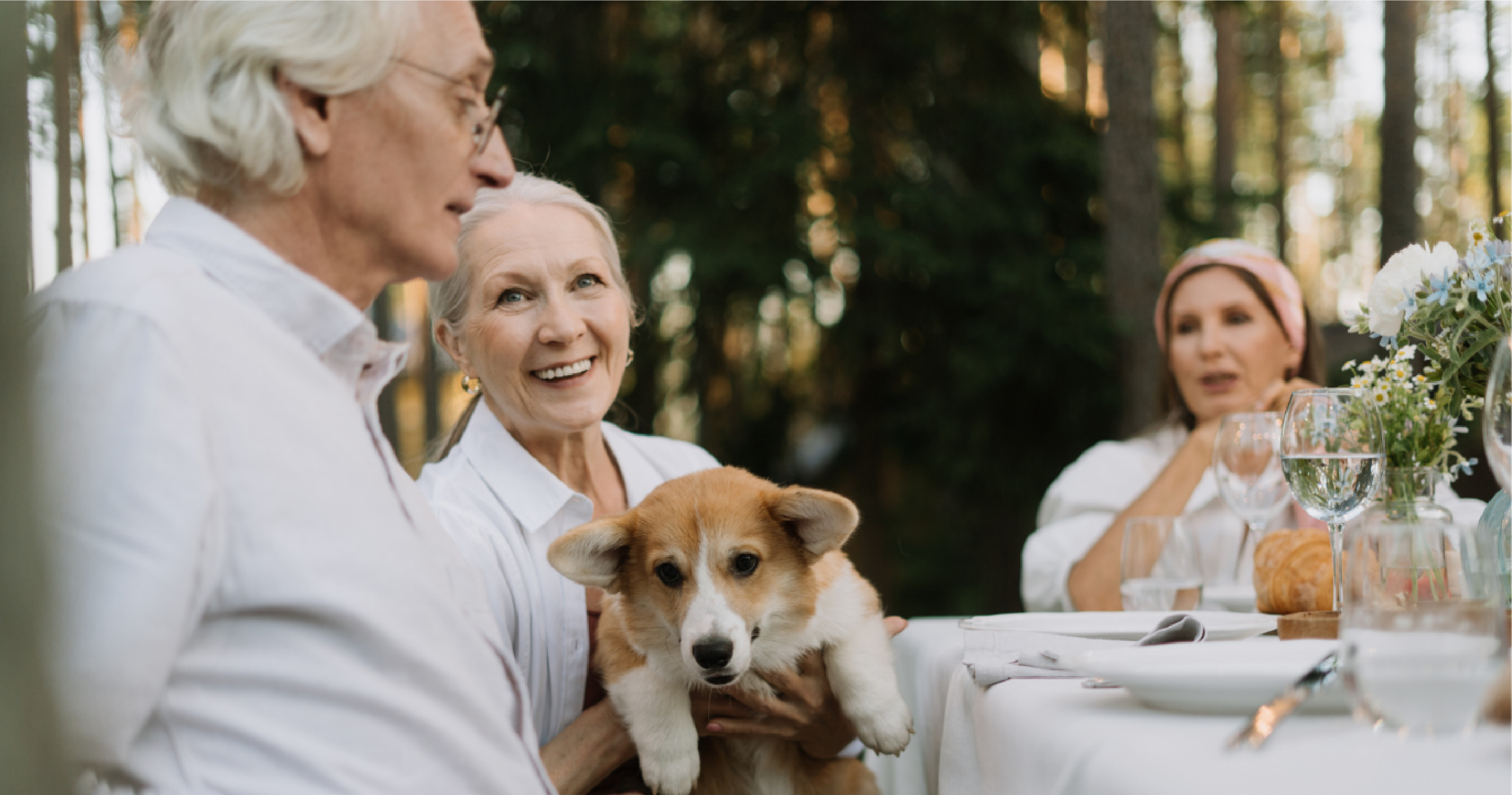 pets for seniors